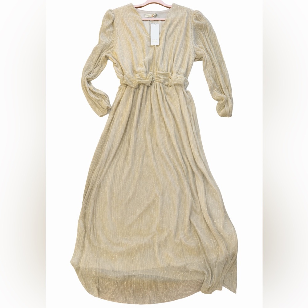 Carla Conti Made in Italy Gold Metallic Pleated Empire Waist Maxi Dress 2X NWT